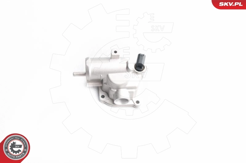 Thermostat, coolant